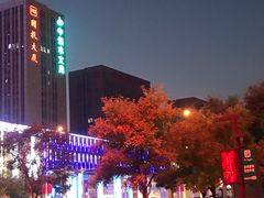 -鹏欣水游城