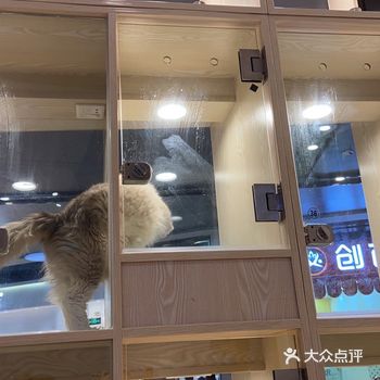 跟朋友来逛环球的时候溜达路过,店里除了售卖常见品种的