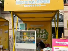 -维尔纳斯·生日蛋糕动物奶油冰淇淋蛋糕(人大店)
