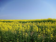 -苏州吴中太湖旅游区