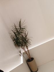 -LJOY丽锦造型·烫发染发