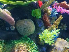 -成都浩海立方海洋公园