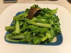-雨后行菜(报慈北路店)