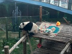 -大连森林动物园