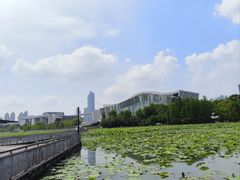 -月湖风景区