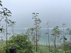 -武陵山森林公园