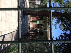 iphone_upload_pic-北京动物园