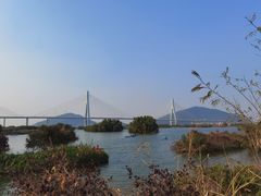 -芒洲湿地公园