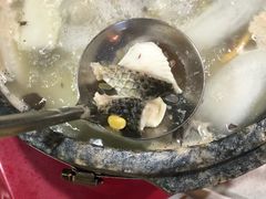 -墨脱石锅椰子鸡•香草鸭•东山羊(大东海店)