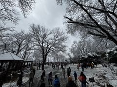 -紫金山山顶公园