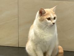 -顺丰面馆(打浦店)