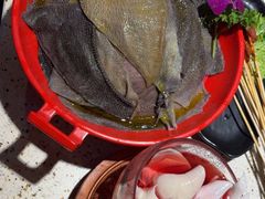 -二荆条·蜀鲜汇城市森林火锅