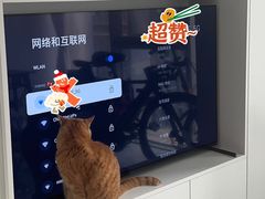 -Sony Store 索尼(来福士店)