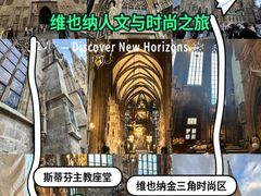 -斯蒂芬主教座堂(Stephansdom)