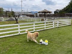 -溪口-滕头旅游景区