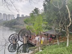 -重庆彩云湖湿地公园