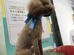 -宠物家(双井店)