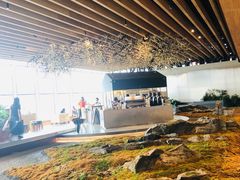 -Seesaw Coffee(朝阳大悦城店)