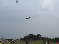 -瑶湖郊野森林公园