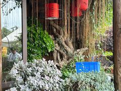-头上红煨盐鸡·非遗院子餐厅