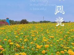 -花博汇(知音花月夜)