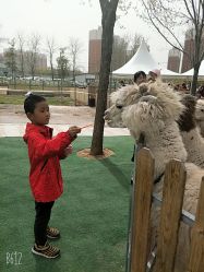 -萌宠亲子动物乐园(槐房万达店)