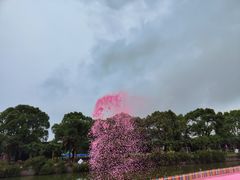 -苏州太湖西山岛开心农场