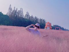 -嘉北郊野公园