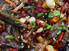 -龙小海荆沙鸽子店(瑞安街店)