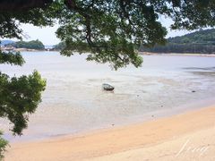 -普陀山风景名胜区-千步大沙