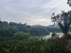 -红花湖景区