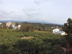 泰迪熊博物馆-济州岛泰迪熊博物馆