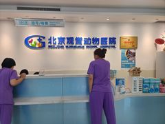 -北京观赏动物医院·24小时大型综合·猫专科·异宠专科