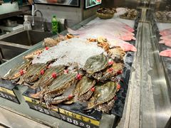 -渔娘渔家丹东海鲜(东直门店)