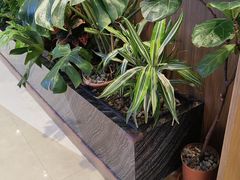 -THE WOODS 简餐 (国贸商城店)