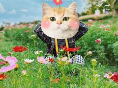 -花开海上生态园