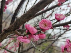 -洋湖国家湿地公园