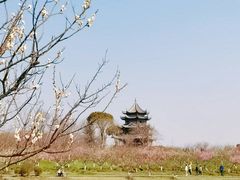 -上海海湾国家森林公园