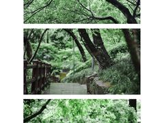 -青龙山国家森林公园