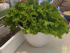 -韩香福烤肉庄园(荣成店)