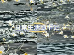 -丽江泸沽湖景区