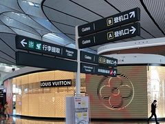 -LV路易威登(大兴国际机场店)