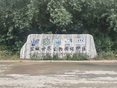 -盐城丹顶鹤湿地生态旅游区