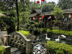 -青城甲(青城山店)