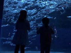 -香港海洋公园
