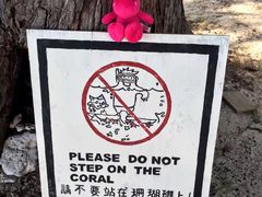-马奴干岛