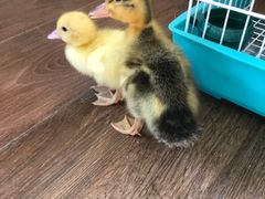 -三旗百汇商品城