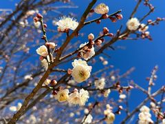 -北京鹫峰国家森林公园