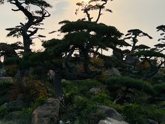 -罗红摄影艺术馆