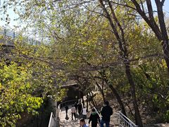 -白水寺森林公园